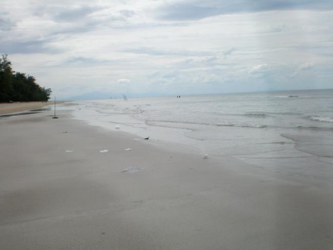 SANY7349.jpg